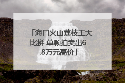 海口火山荔枝王大比拼 单颗拍卖出6.8万元高价