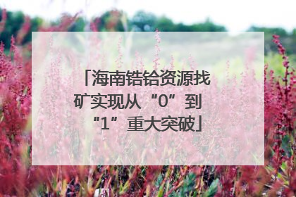 海南锆铪资源找矿实现从“0”到“1”重大突破
