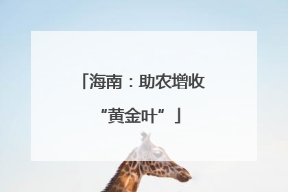 海南：助农增收 “黄金叶”