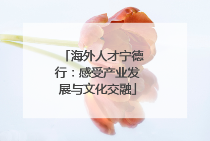 海外人才宁德行：感受产业发展与文化交融