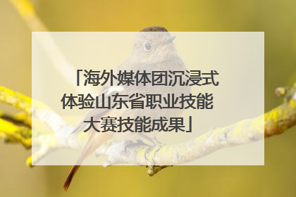 海外媒体团沉浸式体验山东省职业技能大赛技能成果