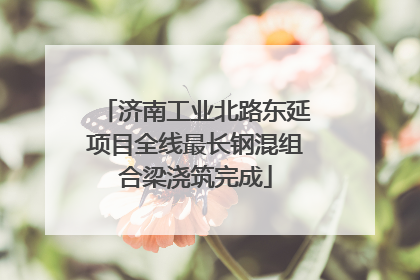 济南工业北路东延项目全线最长钢混组合梁浇筑完成