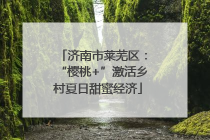 济南市莱芜区：“樱桃+”激活乡村夏日甜蜜经济