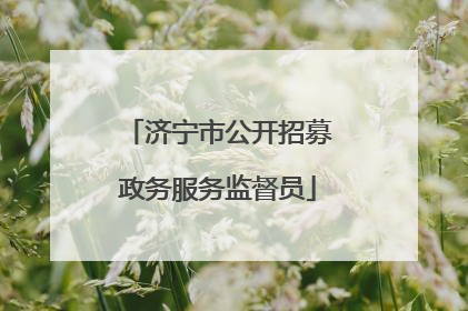 济宁市公开招募政务服务监督员