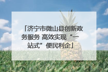济宁市微山县创新政务服务 高效实现“一站式”便民利企