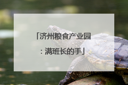 济州粮食产业园：满班长的手