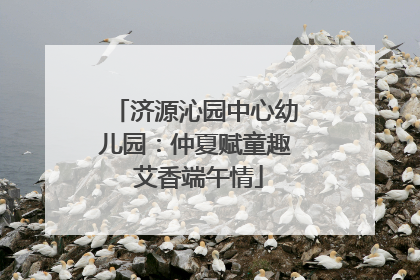 济源沁园中心幼儿园：仲夏赋童趣 艾香端午情