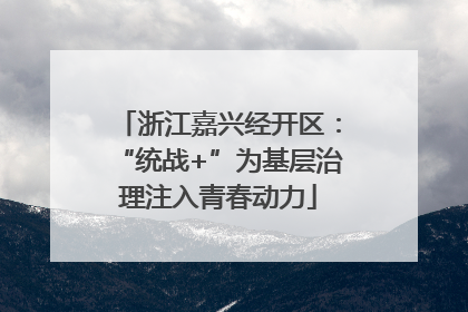 浙江嘉兴经开区：“统战+”为基层治理注入青春动力