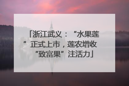 浙江武义：“水果莲”正式上市，莲农增收“致富果”注活力