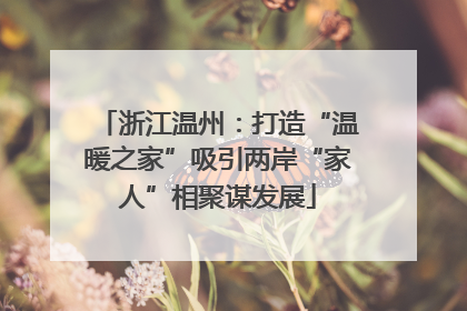 浙江温州：打造“温暖之家”吸引两岸“家人”相聚谋发展