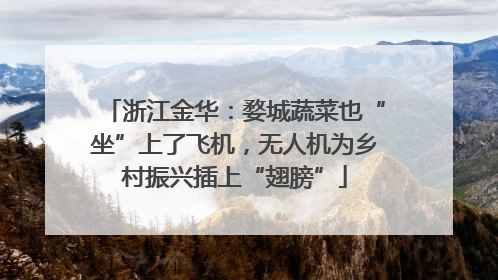 浙江金华：婺城蔬菜也“坐”上了飞机，无人机为乡村振兴插上“翅膀”
