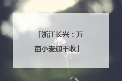 浙江长兴：万亩小麦迎丰收