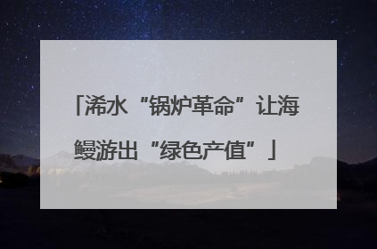 浠水“锅炉革命”让海鳗游出“绿色产值”