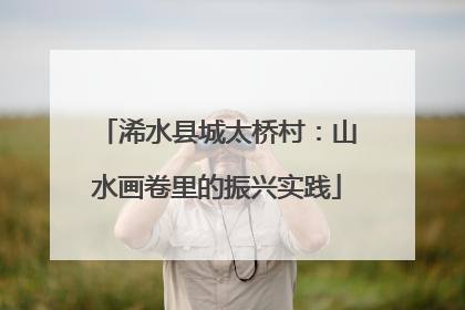 浠水县城太桥村：山水画卷里的振兴实践