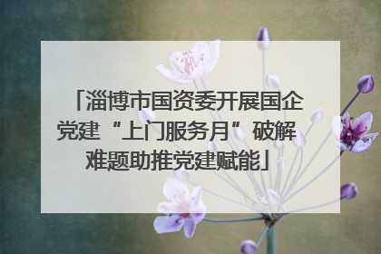 淄博市国资委开展国企党建“上门服务月”破解难题助推党建赋能