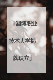 淄博职业技术大学揭牌设立