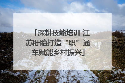 深耕技能培训 江苏盱眙打造“职”通车赋能乡村振兴