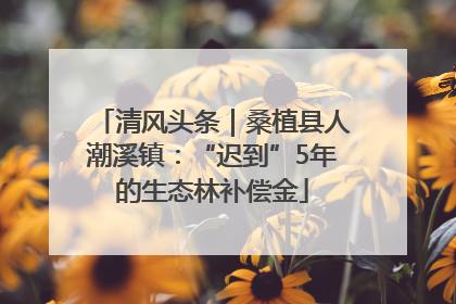 清风头条｜桑植县人潮溪镇：“迟到”5年的生态林补偿金