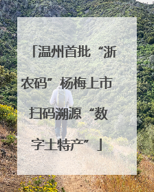 温州首批“浙农码”杨梅上市 扫码溯源“数字土特产”