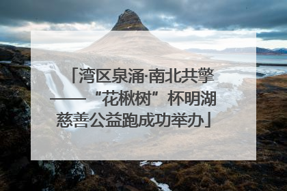 湾区泉涌·南北共擎——“花楸树”杯明湖慈善公益跑成功举办