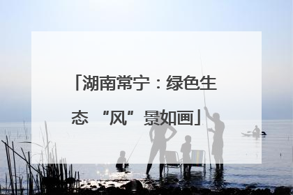湖南常宁：绿色生态 “风”景如画
