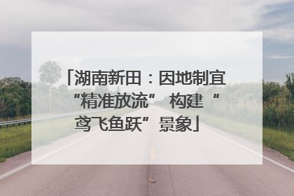湖南新田：因地制宜“精准放流” 构建“鸢飞鱼跃”景象