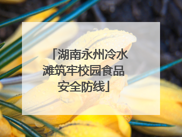 湖南永州冷水滩筑牢校园食品安全防线