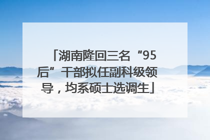 湖南隆回三名“95后”干部拟任副科级领导，均系硕士选调生