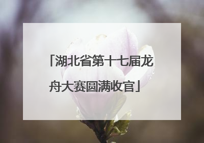 湖北省第十七届龙舟大赛圆满收官