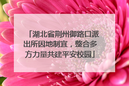 湖北省荆州御路口派出所因地制宜，整合多方力量共建平安校园