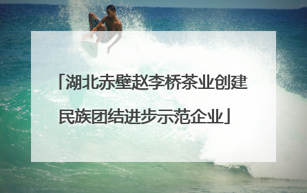 湖北赤壁赵李桥茶业创建民族团结进步示范企业