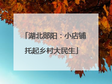 湖北郧阳：小店铺托起乡村大民生