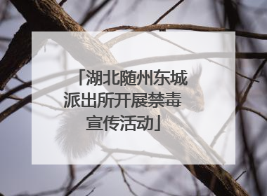 湖北随州东城派出所开展禁毒宣传活动