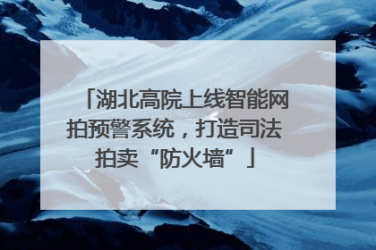 湖北高院上线智能网拍预警系统，打造司法拍卖“防火墙”