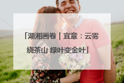 湖湘画卷｜宜章：云雾绕茶山 绿叶变金叶