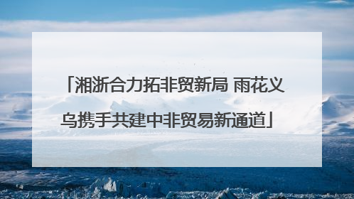 湘浙合力拓非贸新局 雨花义乌携手共建中非贸易新通道