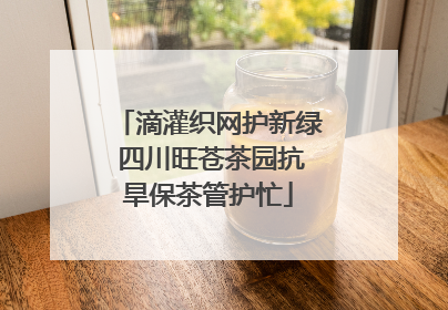 滴灌织网护新绿 四川旺苍茶园抗旱保茶管护忙