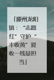 滕州龙阳镇：“志愿红”守护“丰收黄”夏收一线显担当