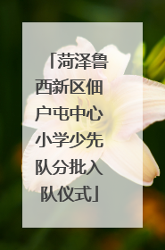菏泽鲁西新区佃户屯中心小学少先队分批入队仪式