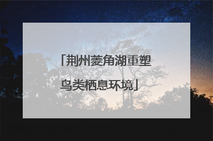 荆州菱角湖重塑鸟类栖息环境