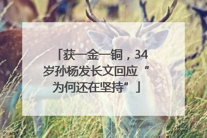 获一金一铜，34岁孙杨发长文回应“为何还在坚持”