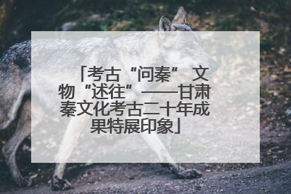 考古“问秦” 文物“述往”——甘肃秦文化考古二十年成果特展印象