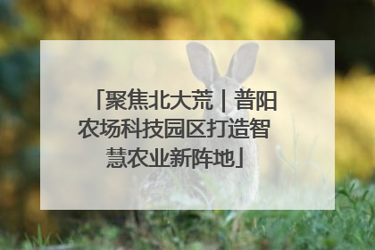 聚焦北大荒｜普阳农场科技园区打造智慧农业新阵地