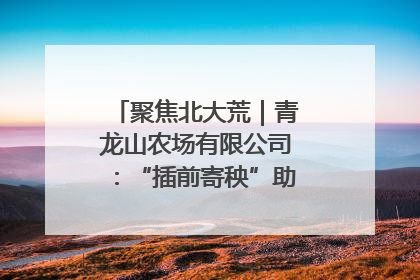 聚焦北大荒｜青龙山农场有限公司：“插前寄秧”助力农业节本增效