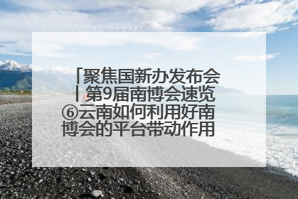 聚焦国新办发布会丨第9届南博会速览⑥云南如何利用好南博会的平台带动作用，深化与南亚国家的交流与合作？