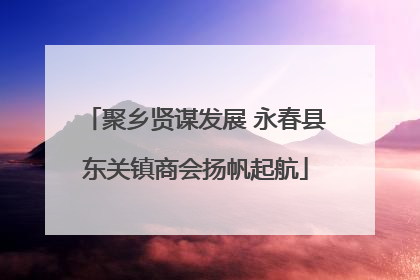 聚乡贤谋发展 永春县东关镇商会扬帆起航