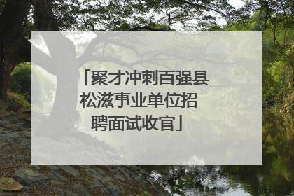 聚才冲刺百强县 松滋事业单位招聘面试收官