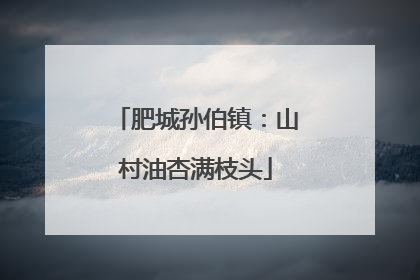 肥城孙伯镇：山村油杏满枝头