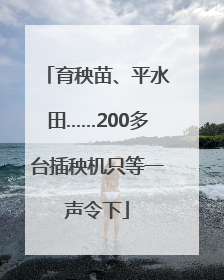 育秧苗、平水田……200多台插秧机只等一声令下