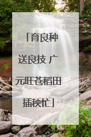 育良种 送良技 广元旺苍稻田插秧忙